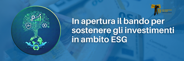 soldi, euro, calcolatrice, banconote, albero della vita, progetto san francesco